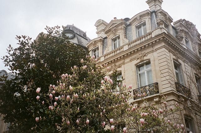 Autism and the Global Imagination: What It Is, What It Isn’t, and Why It Matters Everywhere