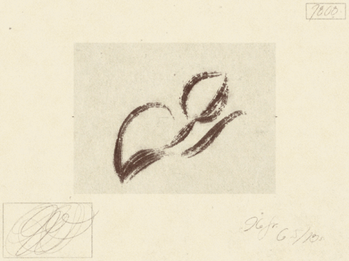 The Privilege of Eyes