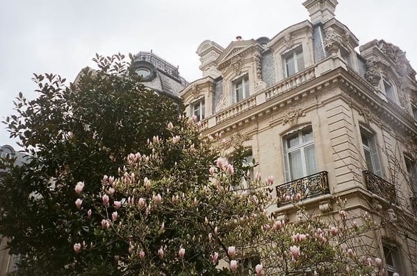 Autism and the Global Imagination: What It Is, What It Isn’t, and Why It Matters Everywhere