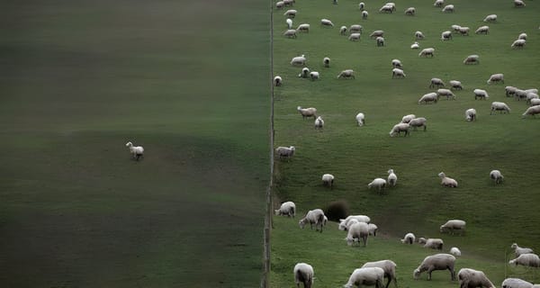 The Psychology of Extinction