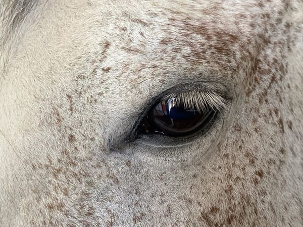 Why Are We So Scared of the Future?